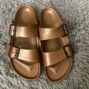Birkenstocks, very loved (and hated by a puppy)